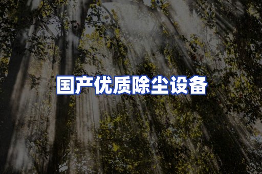 国产优质除尘设备